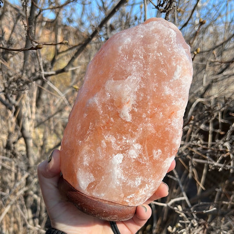 Himalayan Salt Lamp