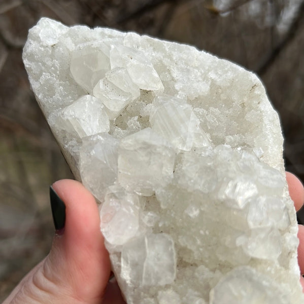 Apophyllite Cluster