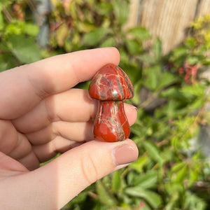 Red Jasper Mushroom