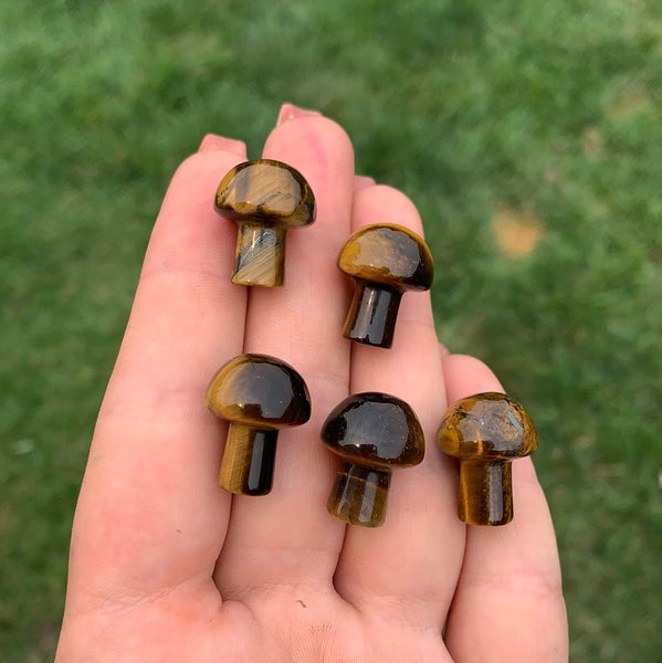 Tigers Eye Mushroom