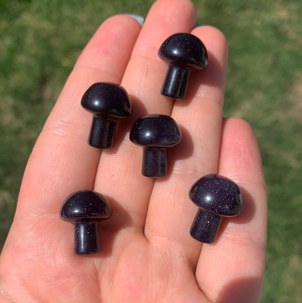 Blue Goldstone Mushroom