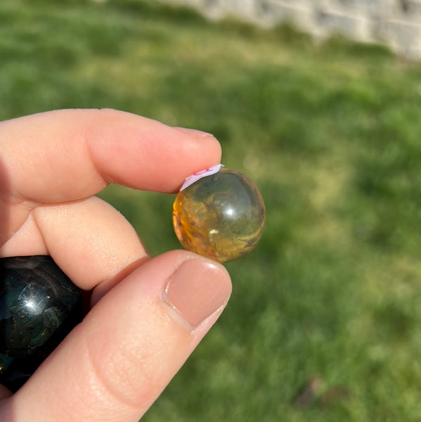 Chiapas/Mexican Amber Spheres