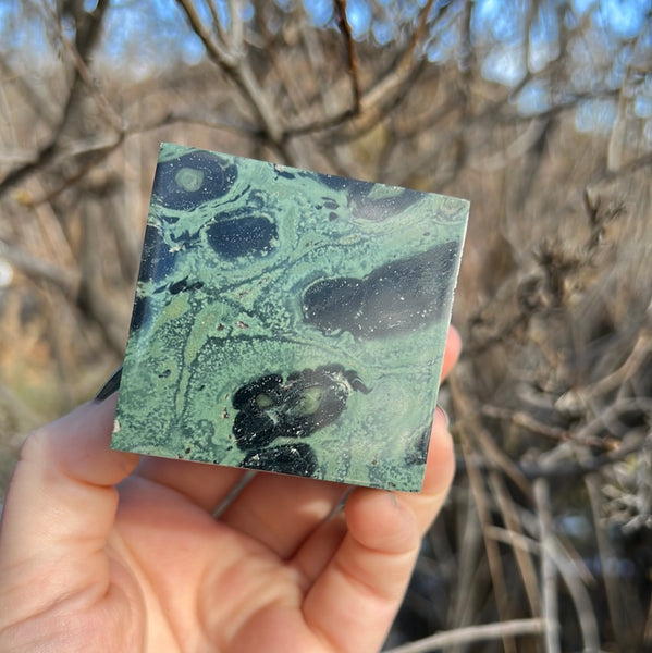 Kambaba Jasper Cube - C