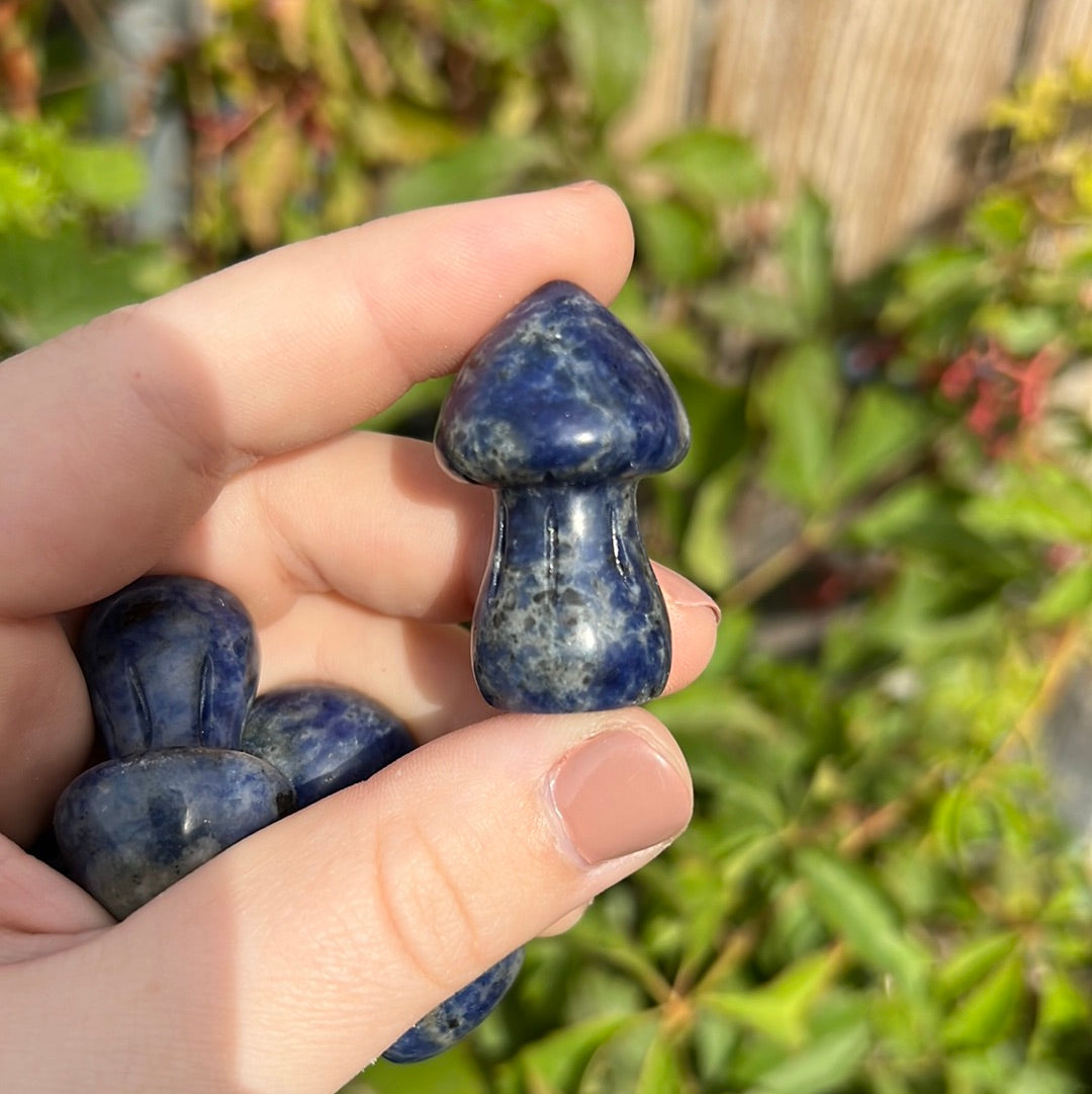 Sodalite Mushroom