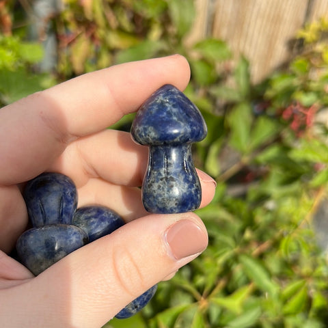 Sodalite Mushroom