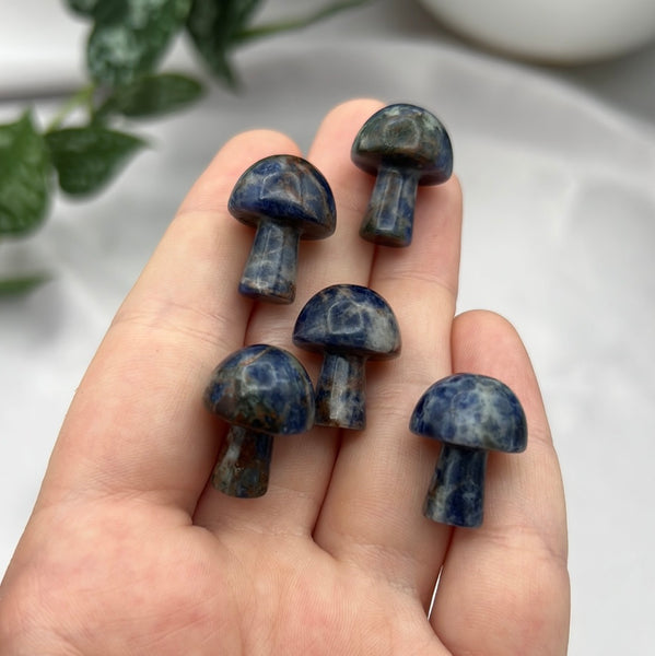 Sodalite Mushroom