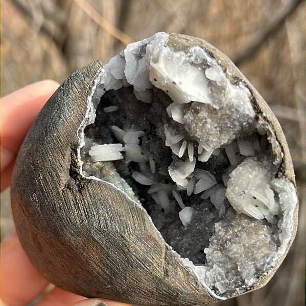 Cut Base Black Chalcedony