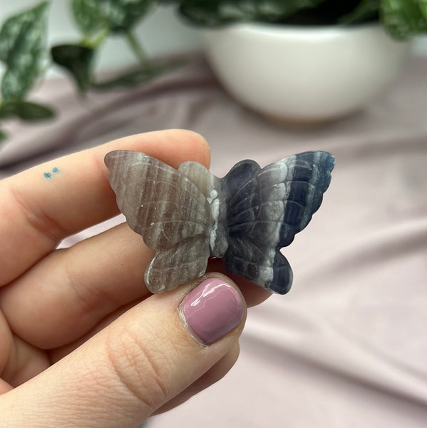 Rainbow Fluorite Butterfly