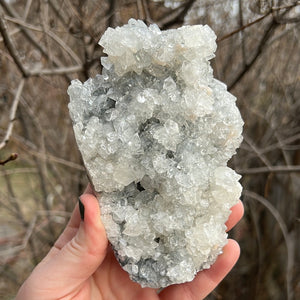 Apophyllite Cluster