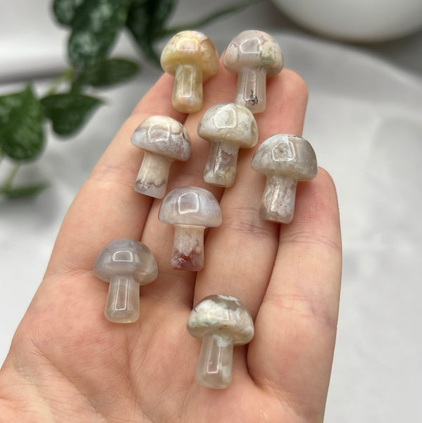 Flower Agate Mushroom