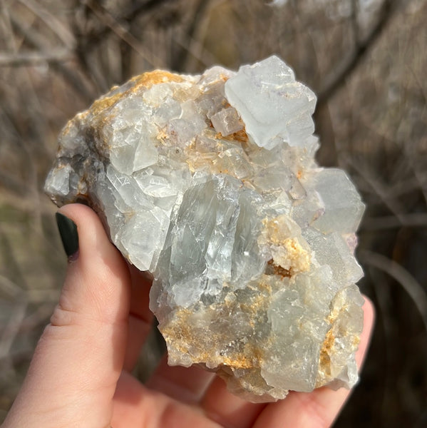 Moroccan Cubic Fluorite