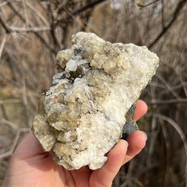 Moroccan Cubic Fluorite