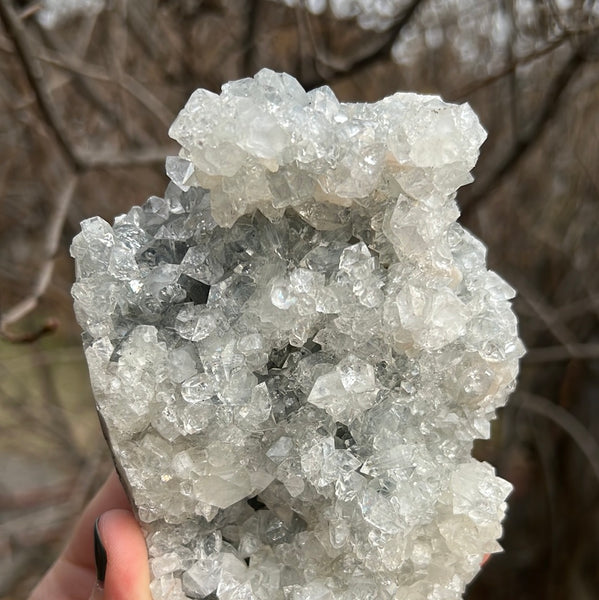 Apophyllite Cluster