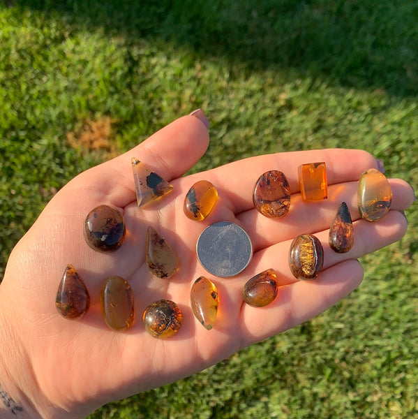 Chiapas/Mexican Amber