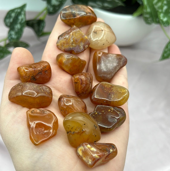 Carnelian Agate Tumbles