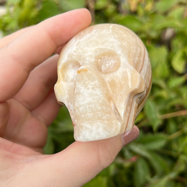 Medium Onyx Skull - E