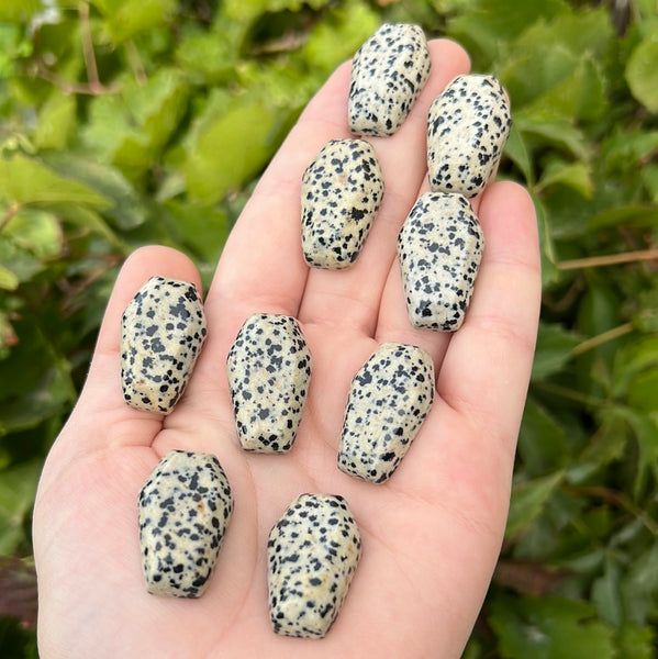 Mini Dalmatian Jasper Coffin