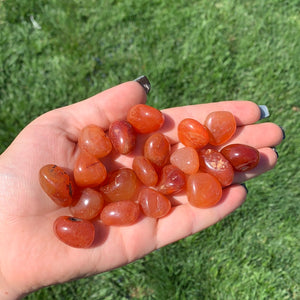 A Grade Carnelian Tumbles