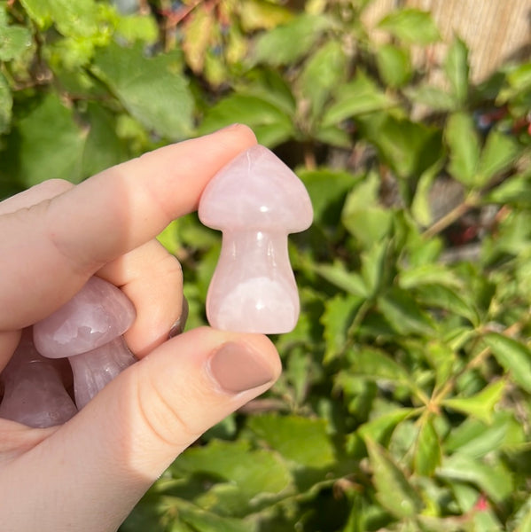 Rose Quartz Mushroom