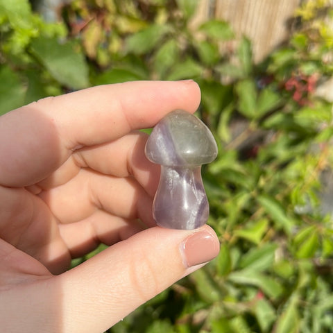 Lavender Purple Fluorite Mushroom