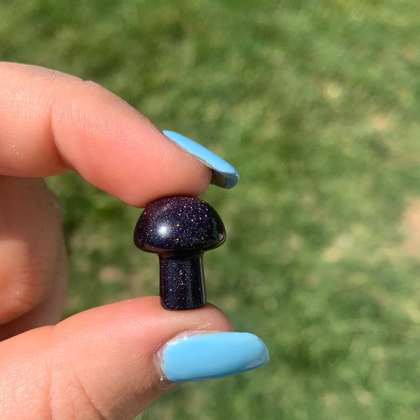 Blue Goldstone Mushroom