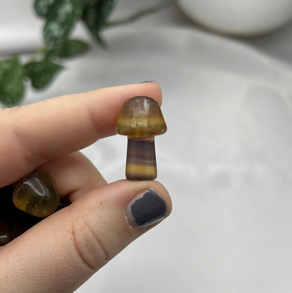 Yellow + Purple Fluorite Mushroom