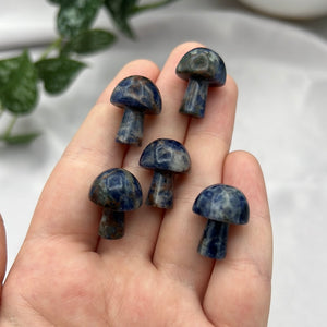 Sodalite Mushroom