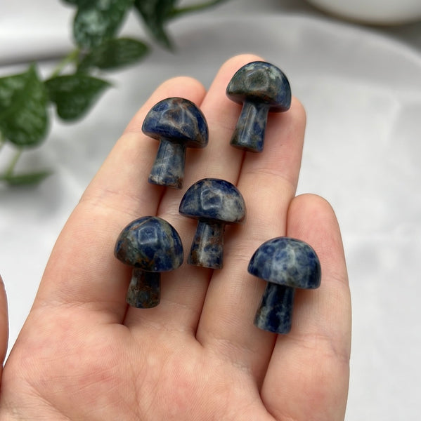 Sodalite Mushroom