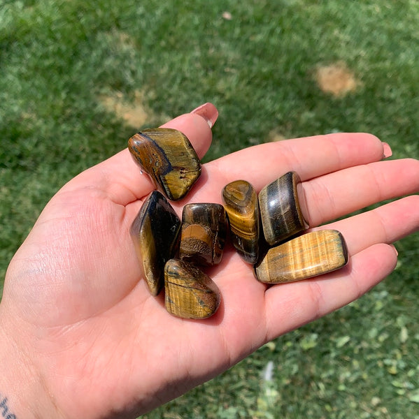 Tigers Eye Tumbles