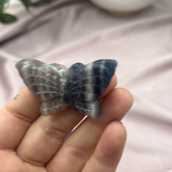 Rainbow Fluorite Butterfly