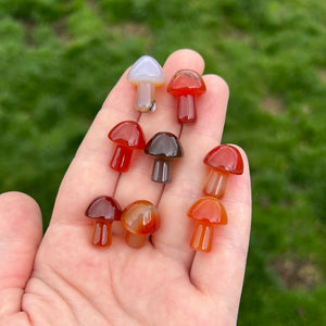 Carnelian Mushrooms