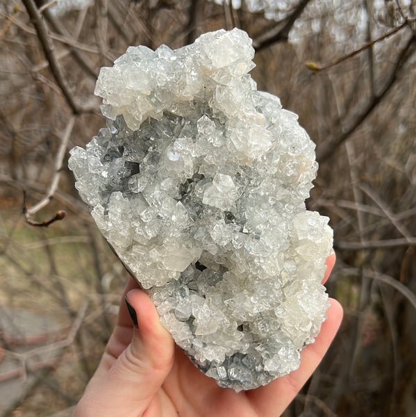 Apophyllite Cluster