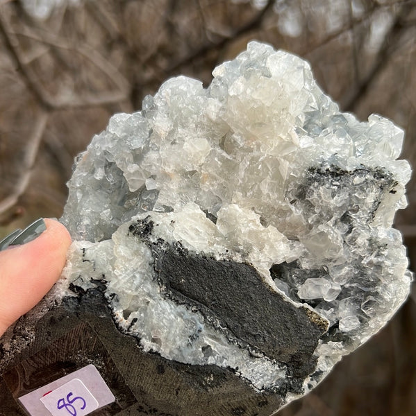 Apophyllite Cluster