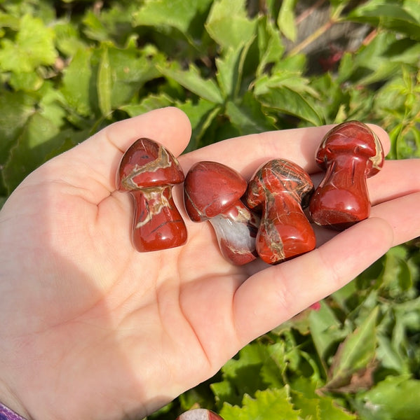 Red Jasper Mushroom