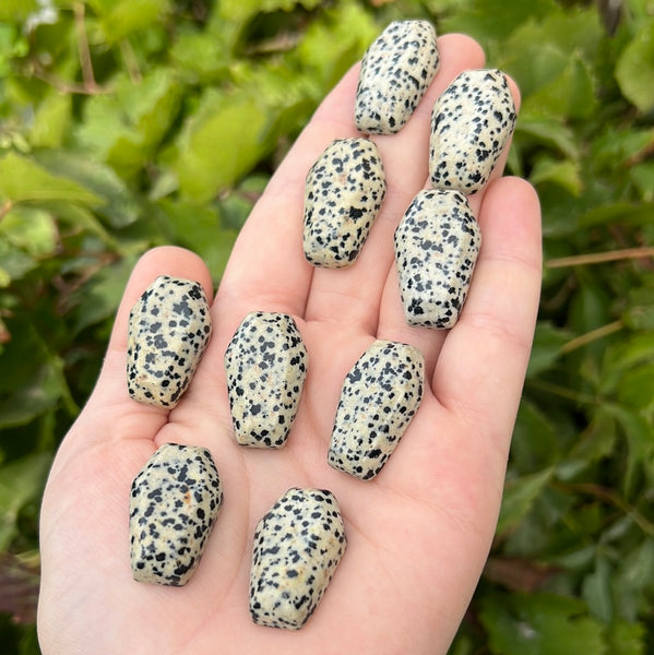 Mini Dalmatian Jasper Coffin