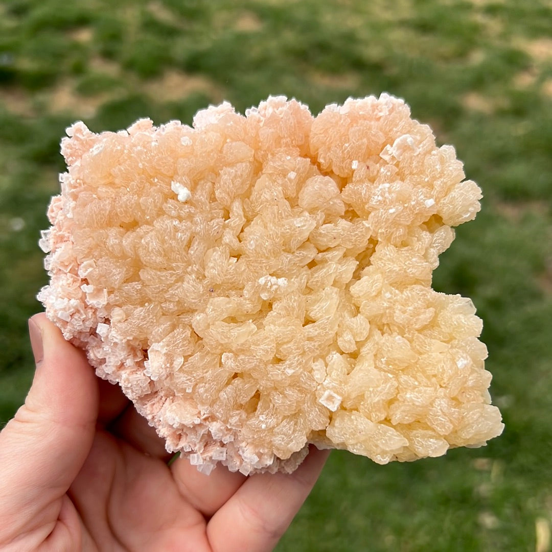 Pink Halite - A