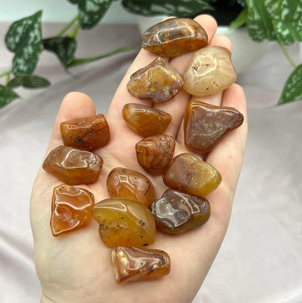 Carnelian Agate Tumbles