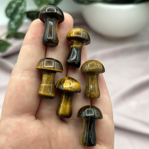 Tigers Eye Mushroom (taller)