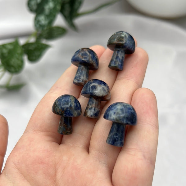 Sodalite Mushroom