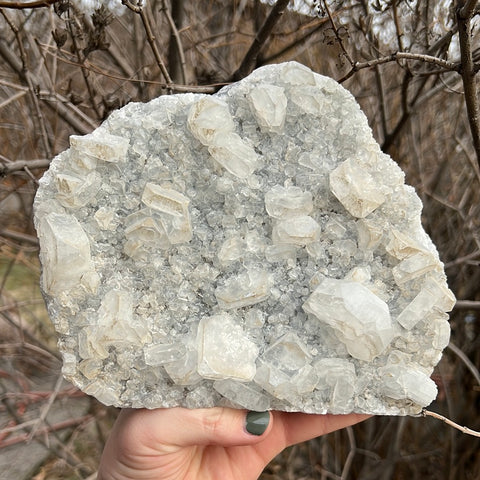 Apophyllite & Black Chalcedony Cluster