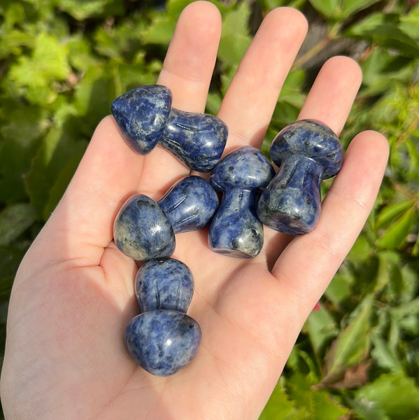 Sodalite Mushroom