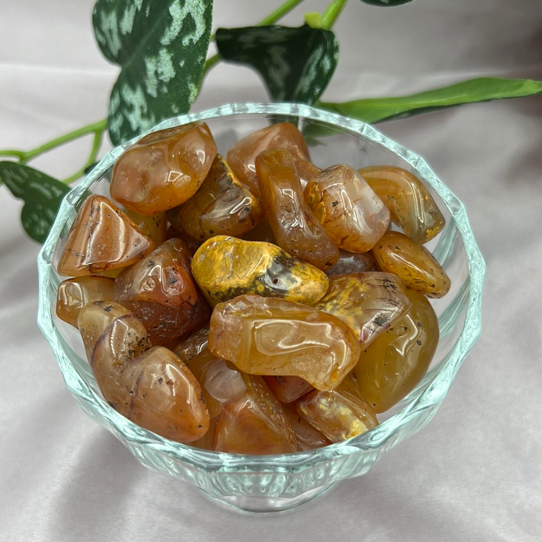 Carnelian Agate Tumbles