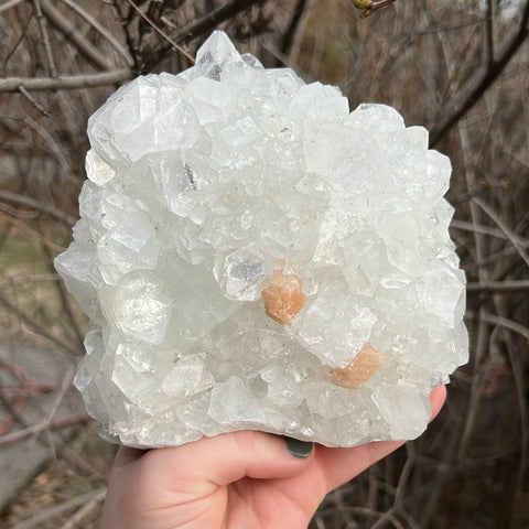 Apophyllite & Stilbite Cluster