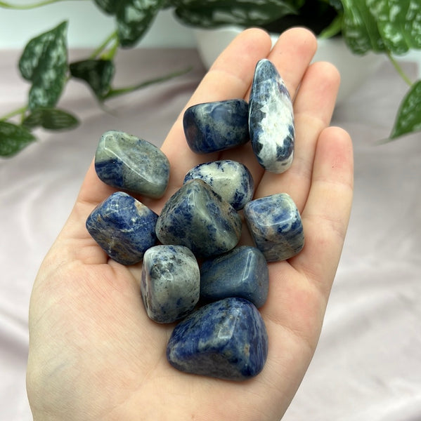 Tumbled Sodalite