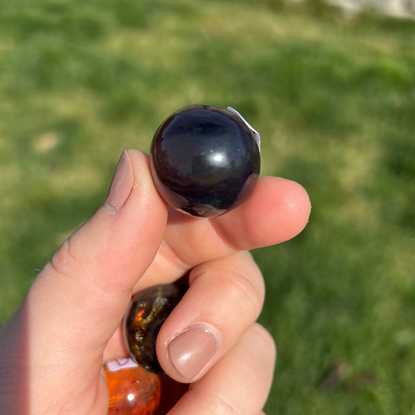 Chiapas/Mexican Amber Spheres