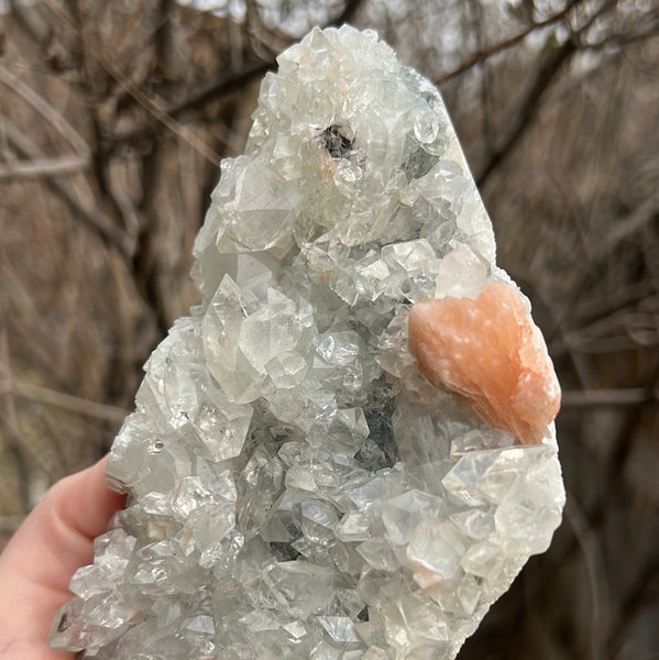 Apophyllite & Stilbite Cluster