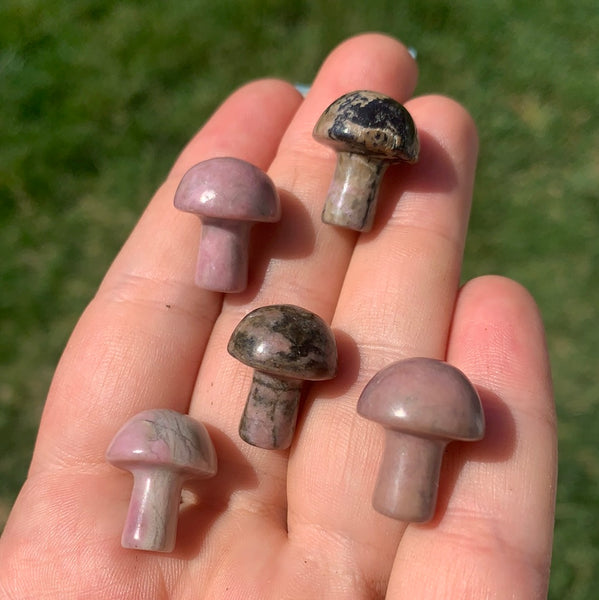 Rhodonite Mushroom Carving