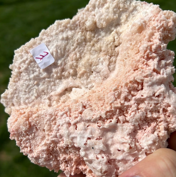 Pink Halite - E