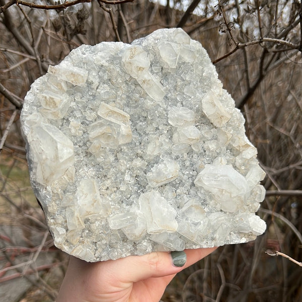 Apophyllite & Black Chalcedony Cluster