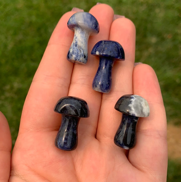 Sodalite Mushroom